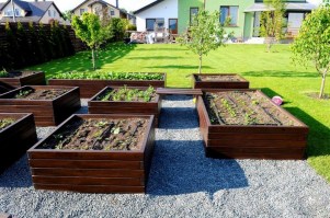 Деревянные грядки 0012