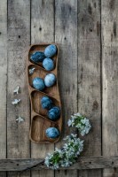 Менажница (дуб) 0014