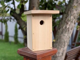 Скворечник 0050