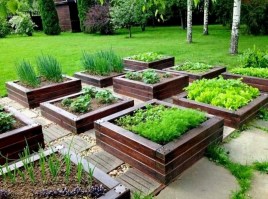 Деревянные грядки 0029