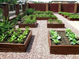 Деревянные грядки 0003