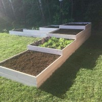 Деревянные грядки 0018