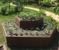 Деревянные грядки 0013