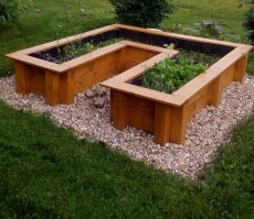 Деревянные грядки 0008