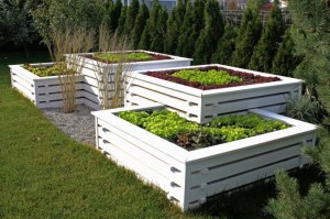 Деревянные грядки 0004