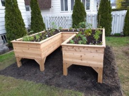 Деревянные грядки 0019