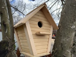 Скворечник 0047